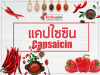 Capsaicin-antioxident